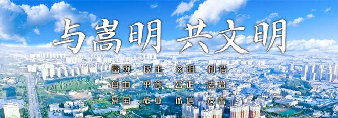 创文固卫｜嵩明县开展再生资源回收行业专项整治行动(图4)