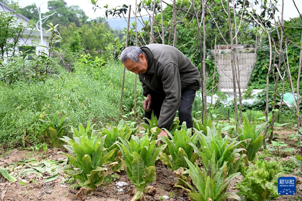 安徽岳西:六旬收废品老人储德素的慈善人生(图6)