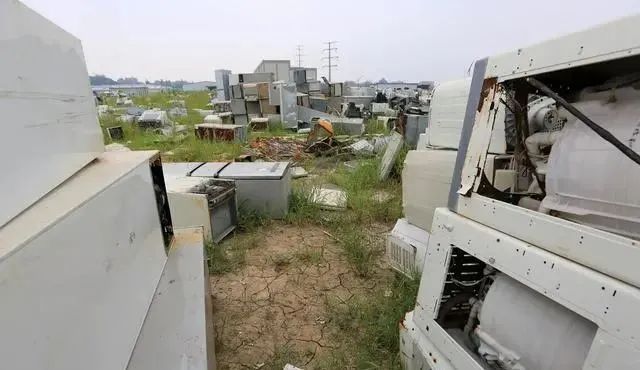 【聚焦】废品回收这样做不用走弯路直接成为富家翁!(图7)