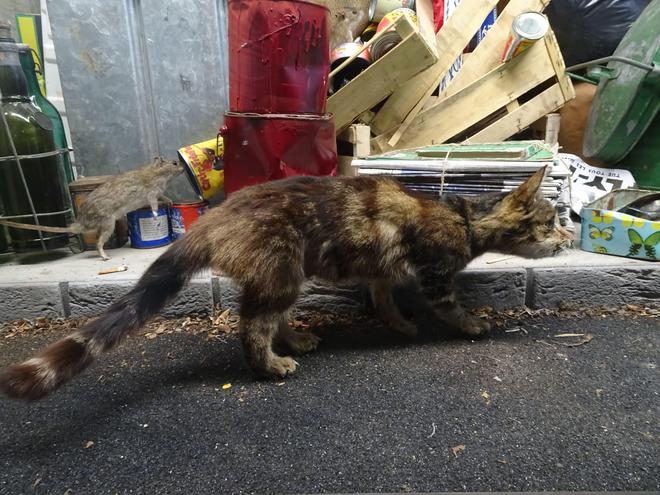 废品回收行业：稳定收入背后的挑战与机遇(图4)