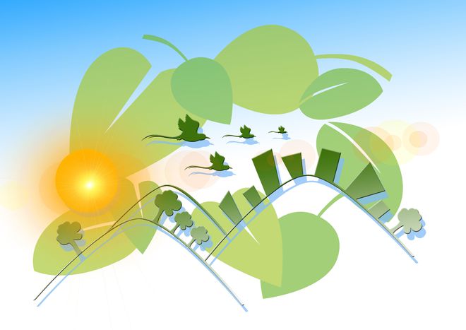 废品回收行业：稳定收入背后的挑战与机遇(图6)