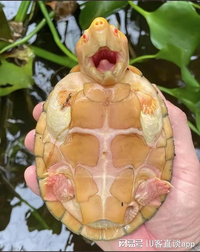 穷人想要挣到钱不妨试试这4个冷门生意干好了利润相当不错(图3)