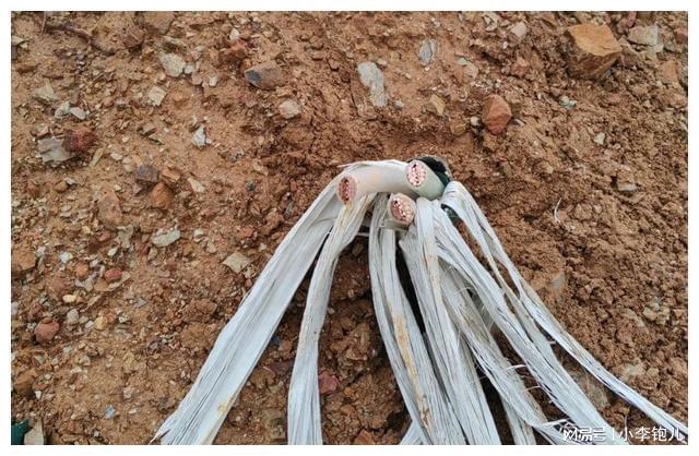 价值10万元电缆被盗元江警方24小时快速破案挽损！(图1)