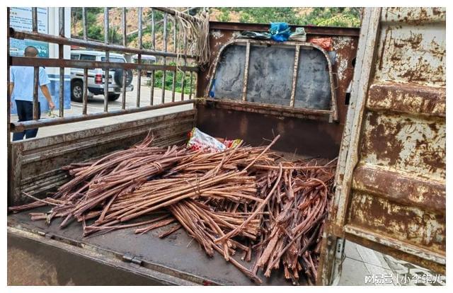 价值10万元电缆被盗元江警方24小时快速破案挽损！(图4)