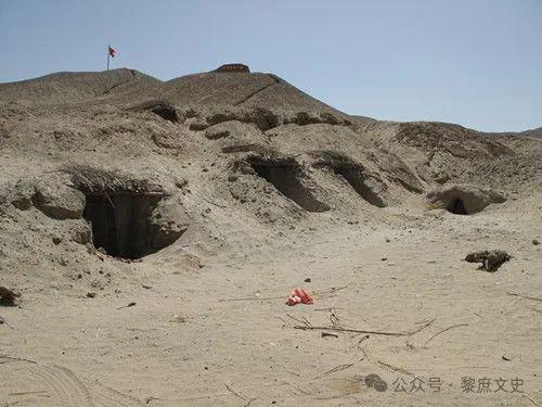 李娟：辍学年稿费千万未婚没娃凡尔赛的背后有多少不光彩(图6)