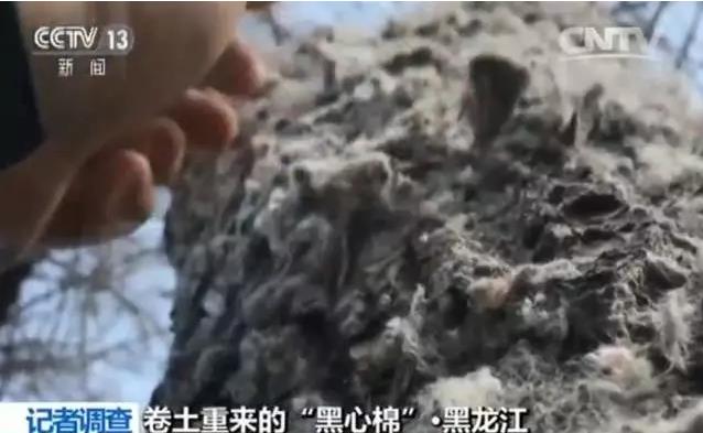 调查旧被褥、医疗垃圾成原料“黑心棉被”在一些地方居然进了商场(图8)