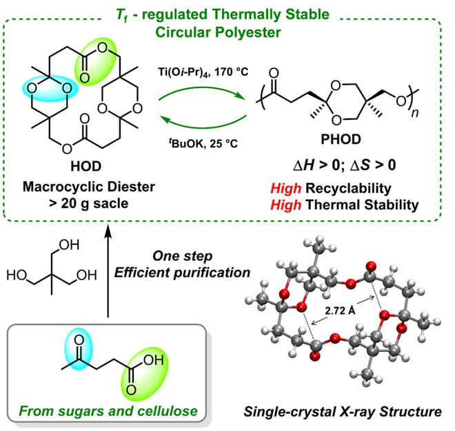 北京大学李子臣杜福胜施昌霞研究团队JACS：受聚合下限温度调控的热稳定且可化学回收的聚（缩酮-酯）(图1)