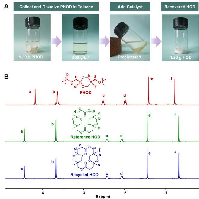 北京大学李子臣杜福胜施昌霞研究团队JACS：受聚合下限温度调控的热稳定且可化学回收的聚（缩酮-酯）(图2)