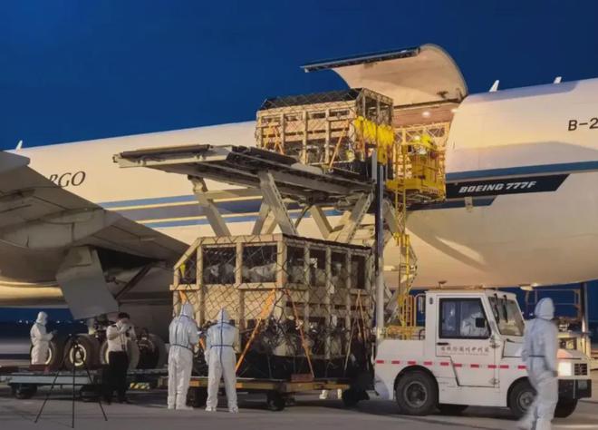 奥克兰市议会警告：“回收垃圾桶可没收！”(图10)