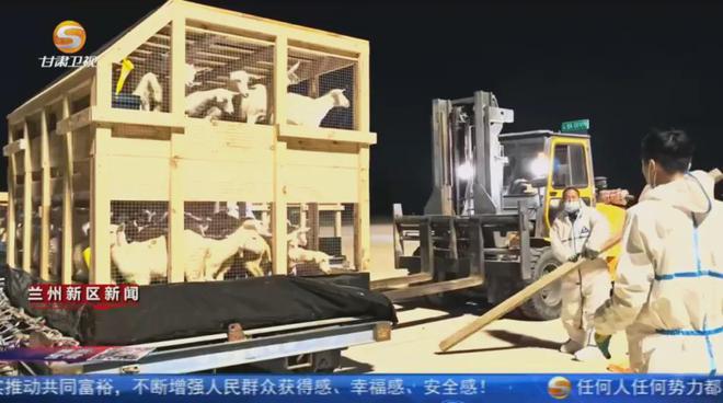 奥克兰市议会警告：“回收垃圾桶可没收！”(图11)