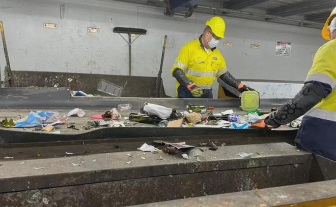 奥克兰市议会警告：“回收垃圾桶可没收！”(图7)