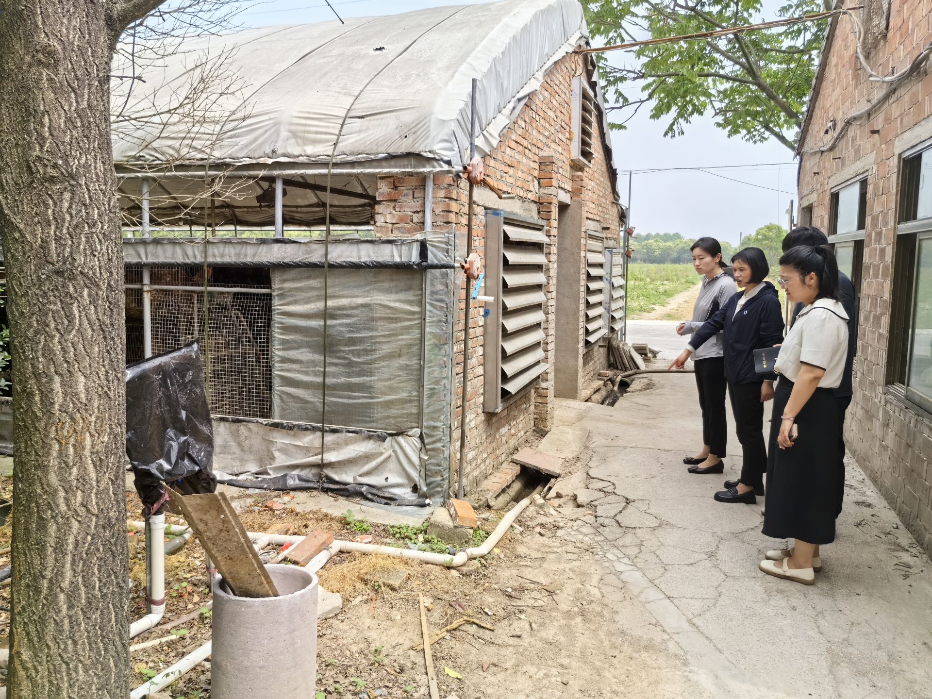 新街镇深入推进“六无一达标”整治行动(图2)