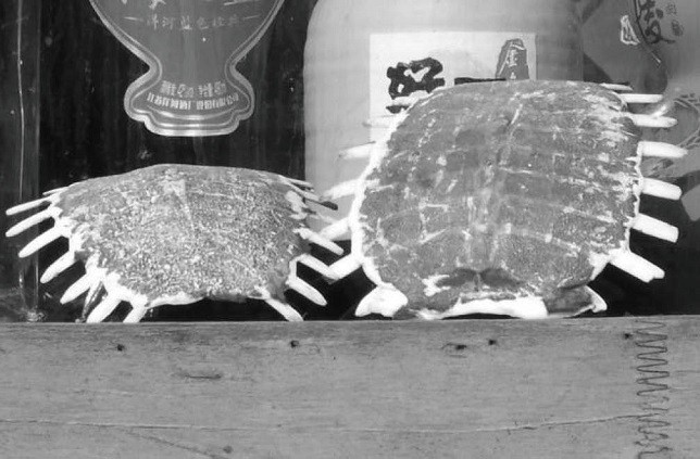 回收江湖的巨变(图1)