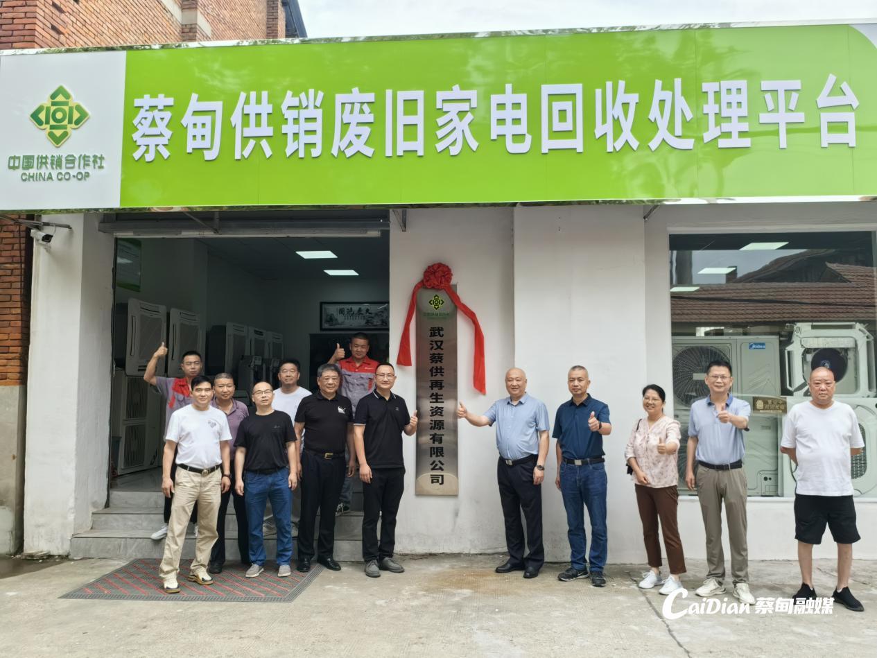 蔡甸区废旧家电回收处理平台正式运营引领绿色低碳发展(图1)