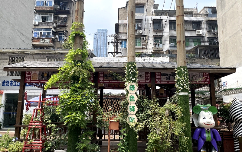 老小区改出“绿色”与“繁荣”(图1)