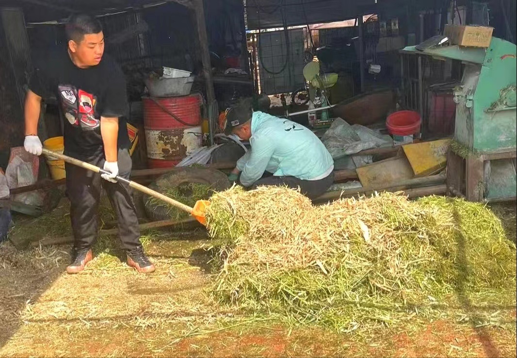 希望的村庄｜集贤篇：变粪为宝绿色循环(图3)