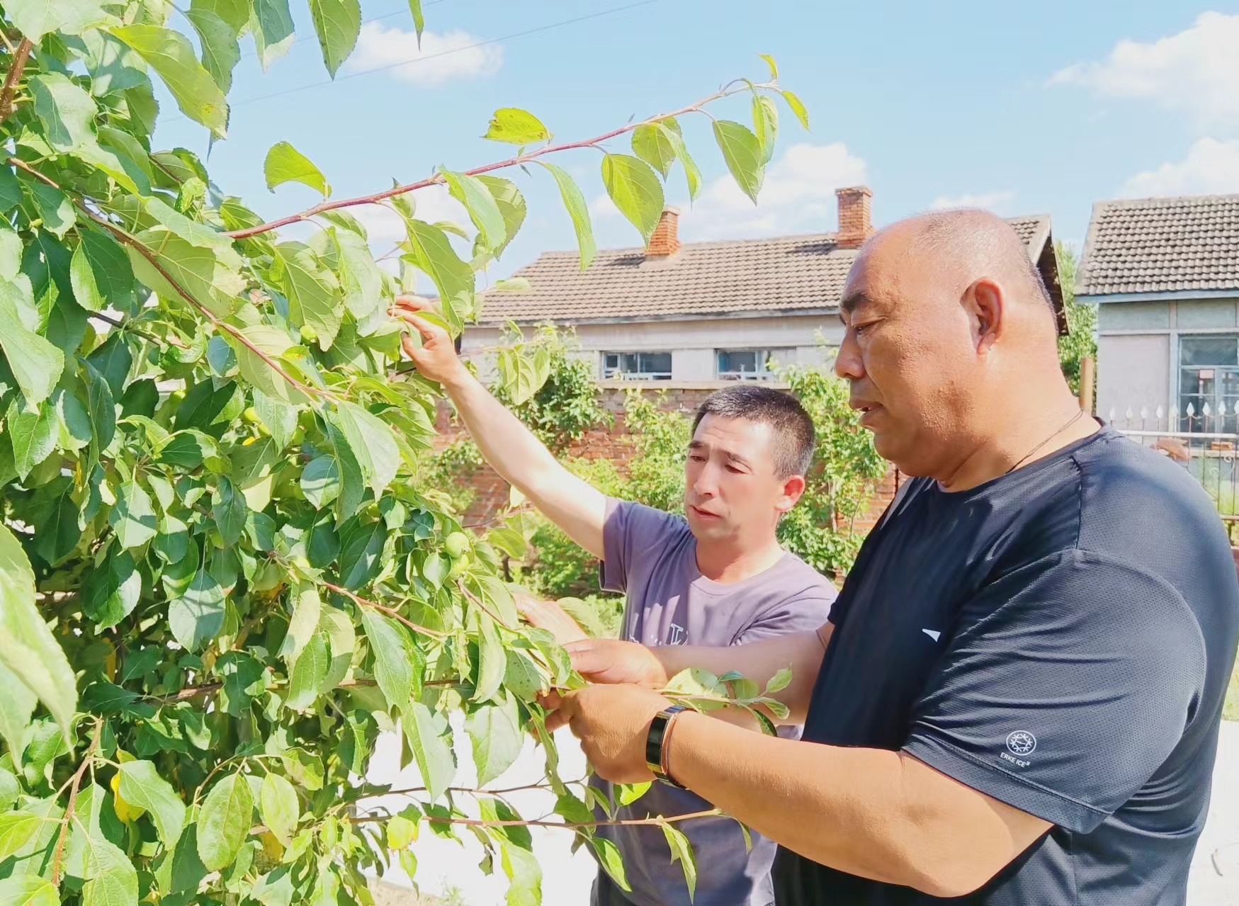 希望的村庄｜集贤篇：变粪为宝绿色循环(图4)