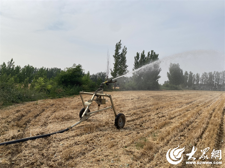 增产增效不增水德州市拧紧“水龙头”推动水资源节约集约高效利用_大众网(图6)