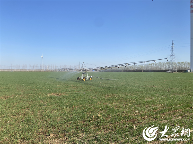 增产增效不增水德州市拧紧“水龙头”推动水资源节约集约高效利用_大众网(图7)