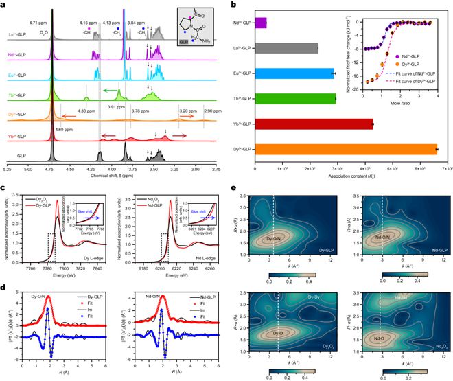 中科院理化所江雷闻利平孔祥玉团队Nature子刊：构筑仿生离子通道用于稀土离子回收(图4)