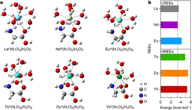 中科院理化所江雷闻利平孔祥玉团队Nature子刊：构筑仿生离子通道用于稀土离子回收(图6)