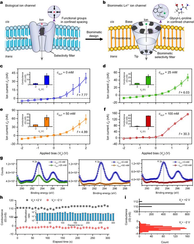 中科院理化所江雷闻利平孔祥玉团队Nature子刊：构筑仿生离子通道用于稀土离子回收(图2)