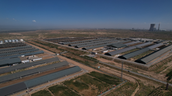 总投资195亿元！平罗县探索畜禽粪污资源化利用最优解(图1)