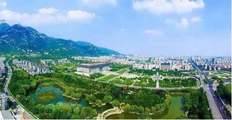 泰安市供销社强化龙头引领激发再生资源回收利用行业活力(图1)