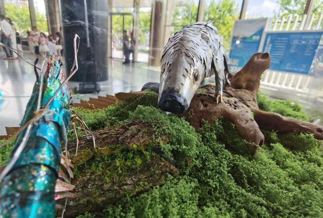 变废为宝不简单上海“绿主妇”渴望转型(图6)