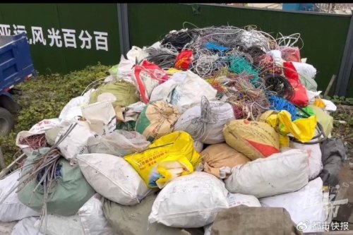 收废品、做家政“辱没学历和年龄”的“高薪饭碗”被年轻人青睐你怎么看？(图2)