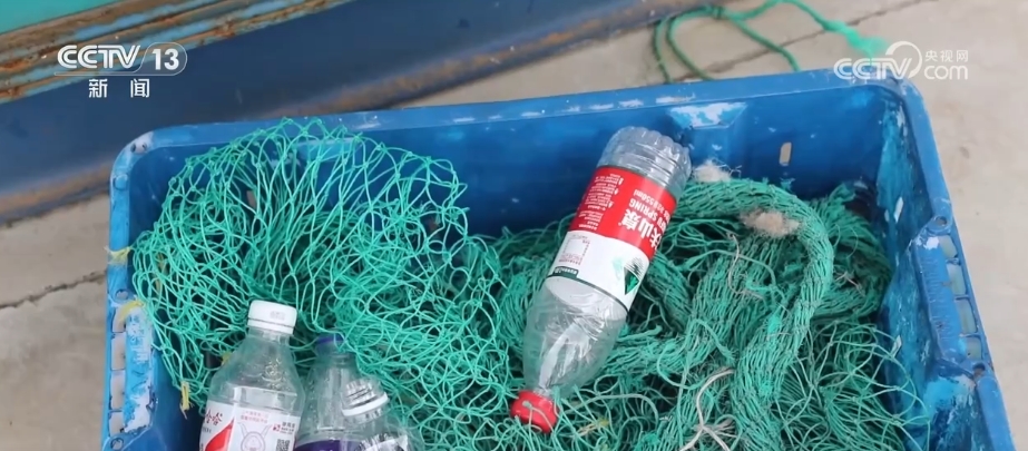 变废为宝、和谐共生、AI加持……多地交出生态修复探索实践“答卷”(图1)