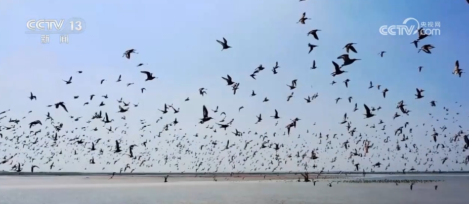 变废为宝、和谐共生、AI加持……多地交出生态修复探索实践“答卷”(图6)