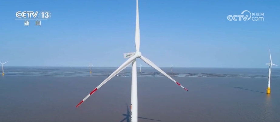 变废为宝、和谐共生、AI加持……多地交出生态修复探索实践“答卷”(图8)