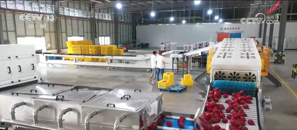 如何完善现代商贸流通体系？如何让人民生活更便利？9部门发文这样做(图5)