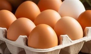 再生资源回收市场前景及现状分析：2024年主要品种再生资源综合利用量要稳中有升(图2)