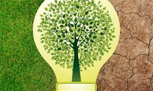 再生资源回收市场前景及现状分析：2024年主要品种再生资源综合利用量要稳中有升(图11)