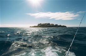 再生资源回收行业报告：再生资源回收企业突破9万家互联网+”成新潮流(图5)