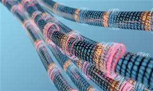 再生资源回收行业报告：再生资源回收企业突破9万家互联网+”成新潮流(图4)