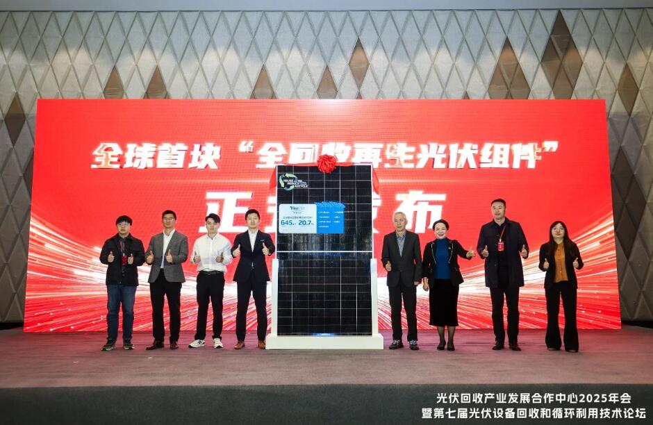 光伏回收产业发展合作中心2025年会暨第七届光伏设备回收和循环利用技术论坛圆满召开！(图5)