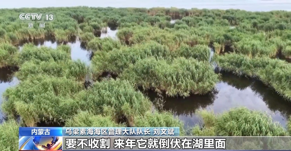 1000个废旧塑料餐盒变身3D打印椅 “变废为宝”又有新招(图1)