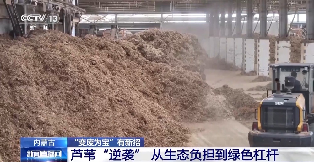 1000个废旧塑料餐盒变身3D打印椅 “变废为宝”又有新招(图2)