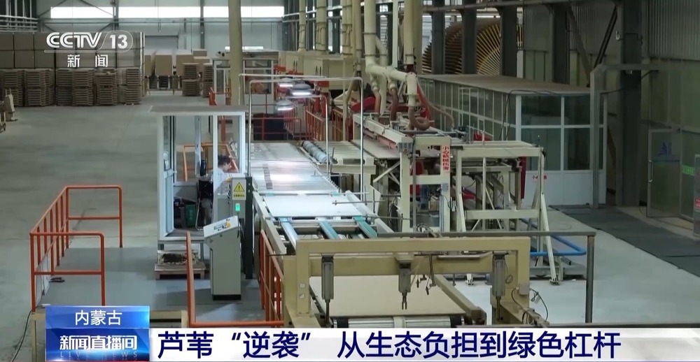 1000个废旧塑料餐盒变身3D打印椅 “变废为宝”又有新招(图3)