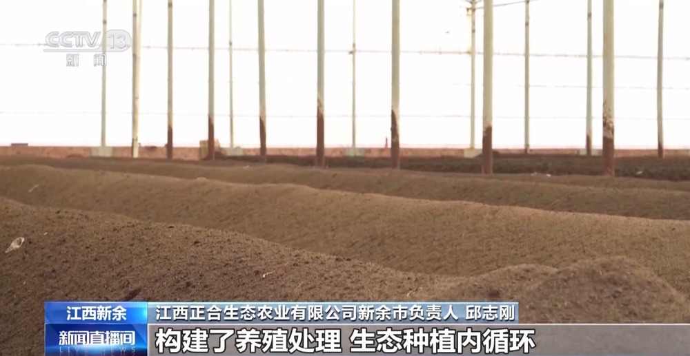 1000个废旧塑料餐盒变身3D打印椅 “变废为宝”又有新招(图8)