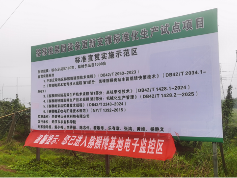 “两新”工作结硕果 标准化猕猴桃园“丰”景美(图3)