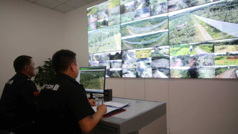 “两新”工作结硕果 标准化猕猴桃园“丰”景美(图2)