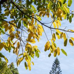 资源再生回收专业学什么(图3)