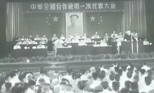 协会会长单位——中国再生资源集团献礼盛世中华(图1)