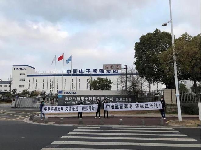 乐视“炮轰”中电熊猫(图1)