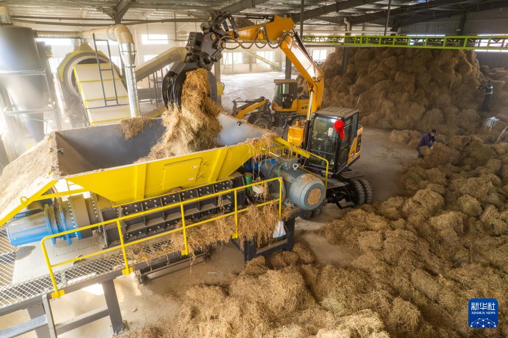 湖南长沙：变废为宝 推进秸秆回收利用(图4)
