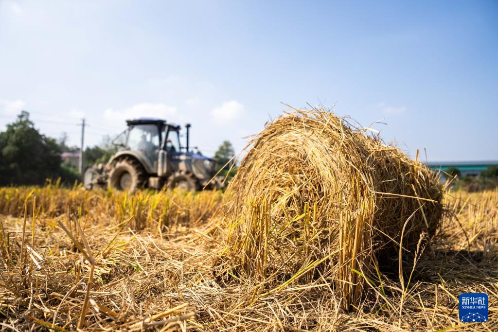 湖南长沙：变废为宝 推进秸秆回收利用(图2)